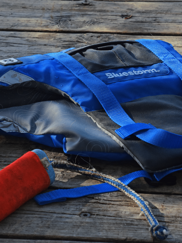 Image of a Bluestorm Dog Paddler foam dog life jacket on a dock